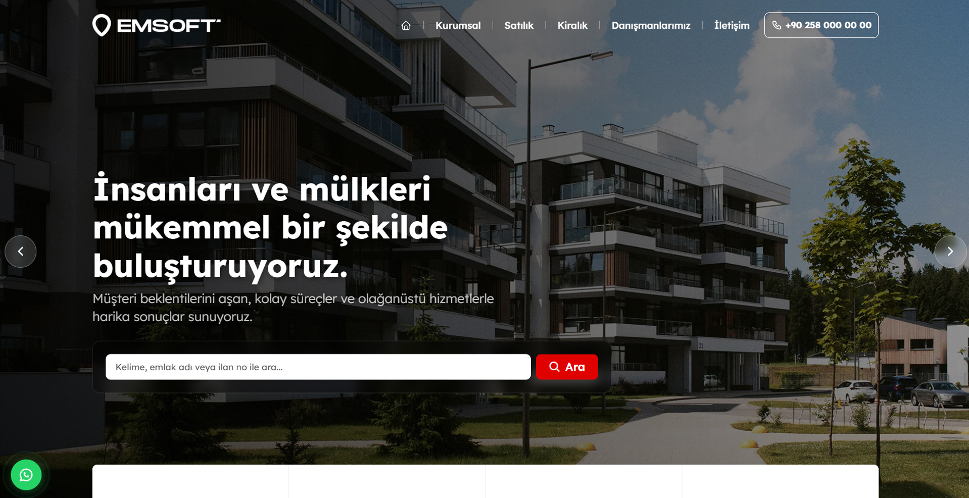 Profesyonel Tasarım 4